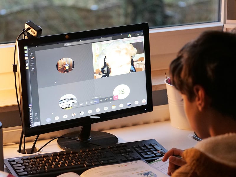 Online Learning Platforms